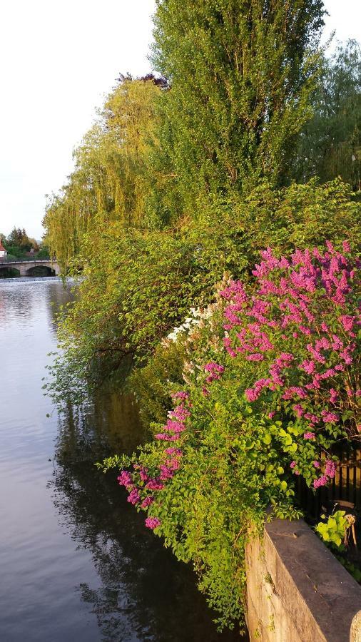 Ferienwohnung Villa Am Fluss لاوف آن در بغنيتز المظهر الخارجي الصورة